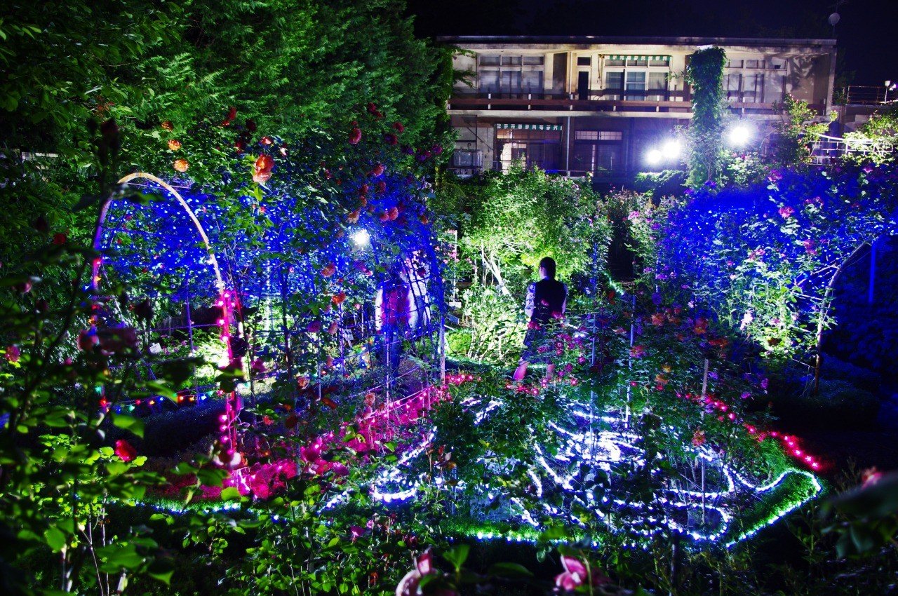 🌹 로즈가든(이시다 로즈가든) 이미지 3